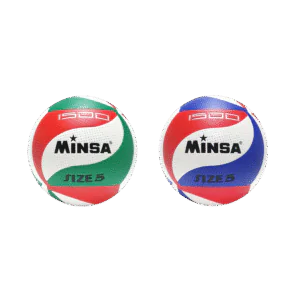 MS Voleibol